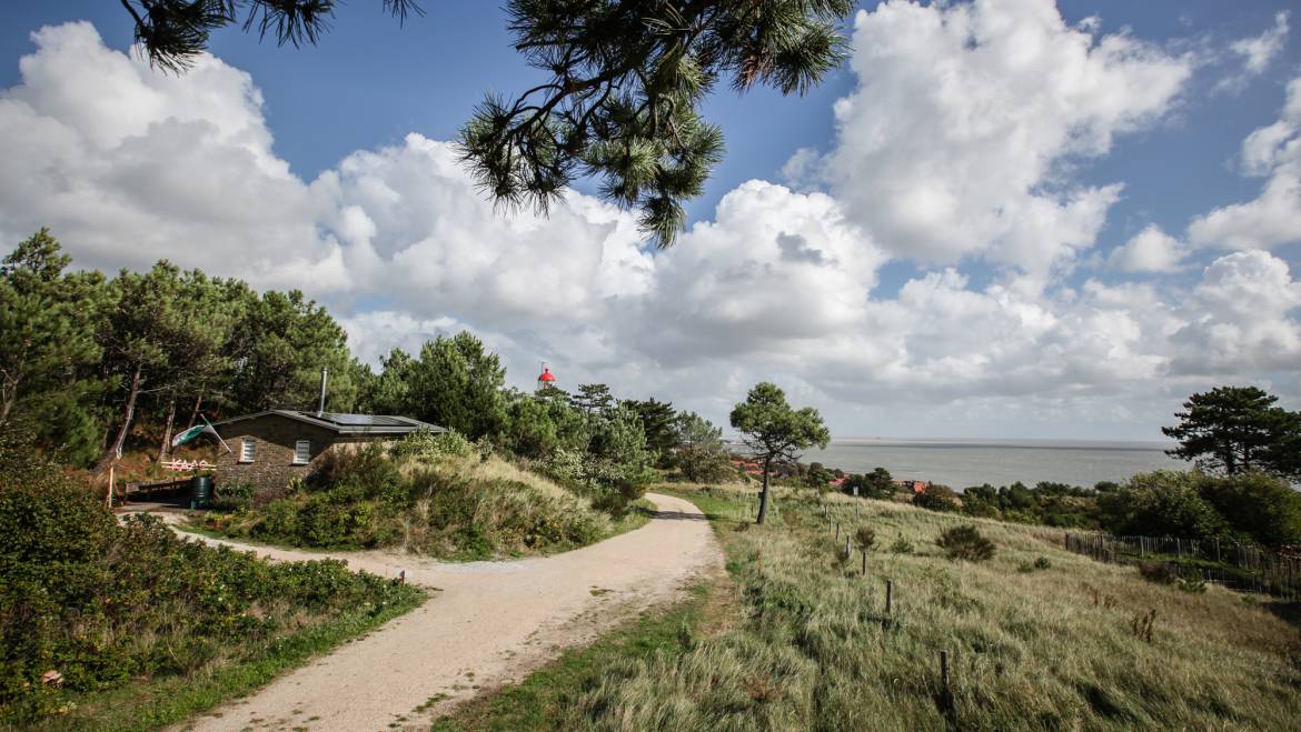 Nazomeren op Vlieland