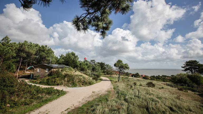 Zomer bij de Kaasbunker