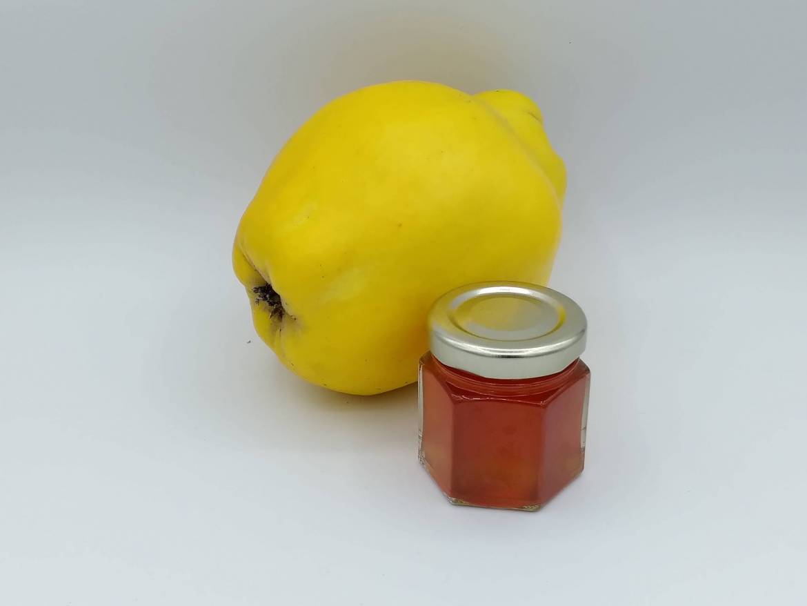 kweepeer-scaled.jpg